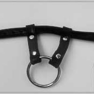Ring Cock and Locking Ball Harness