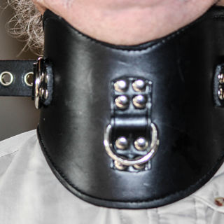 sample custom made posture collar