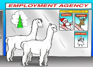 Cartoon Christmas Cards - Employment Agency