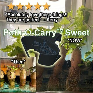 Poth-O-Carry Sweet