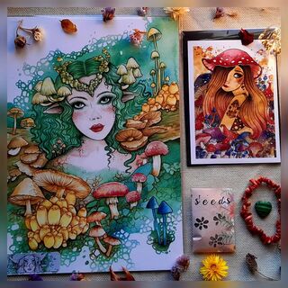 A4 MOSS GIFT PACK