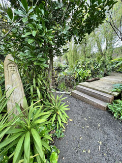 Tropical garden boardwalk