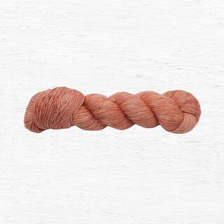 Purple Sprouting STRATUS - Copper Rose