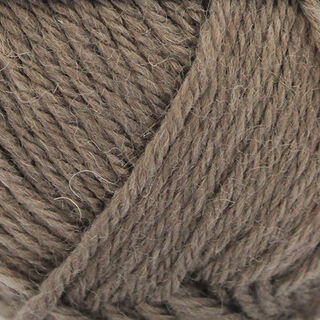 Broadway Purely Wool DK - Wild Earth (9816)