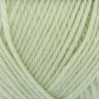 Broadway Purely Wool DK - Light Pistachio (9812)
