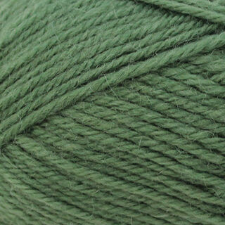 Broadway Purely Wool DK - Hunter (9806)
