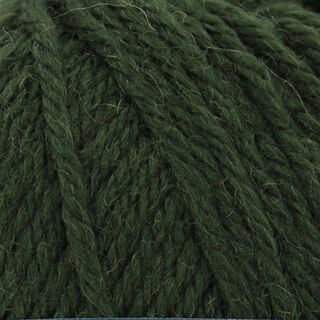 Broadway Purely Wool DK - Pine (9807)
