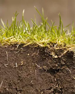 Soil management programmes