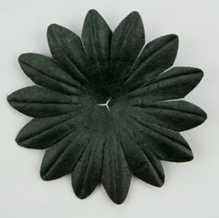 5cm Petals - Black