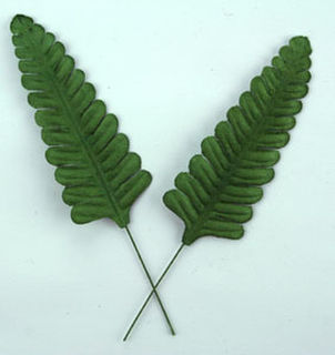 Paper Leaves - Green Fern