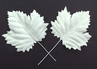 Paper Leaves - White Maple