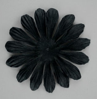 10cm Petals - Black