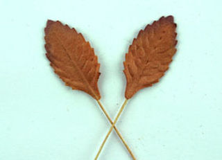 2.5cm Copper Paper Leaves
