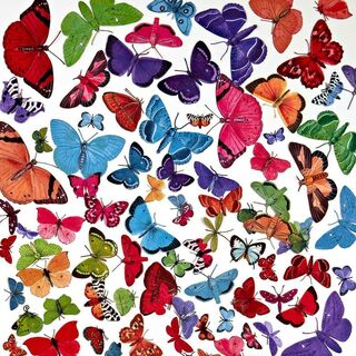 49 and Market - Spectrum Gardenia - Butterfly Laser Cut Elements
