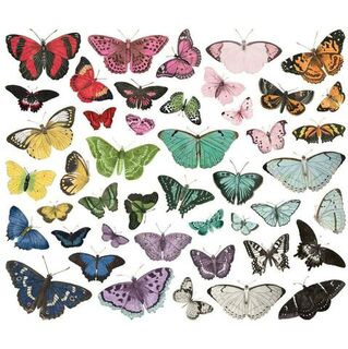 Simple Stories - Simple Vintage - Essentials Color Palette - Butterfly Bits