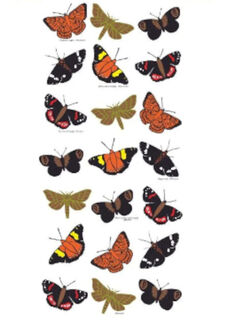 Ali Davies Tea Towel - Moths - Pēpepe