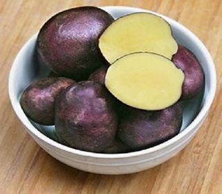 Potato, Purple Majesty