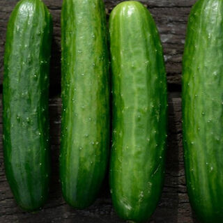 Buy Cucumber Seeds Online NZ