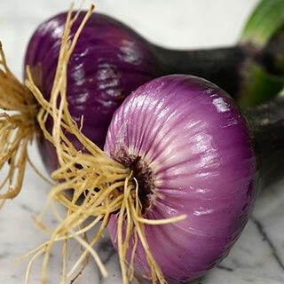 Buy Onion Seeds Online NZ
