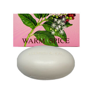 Warm Spice SOAP 220gm