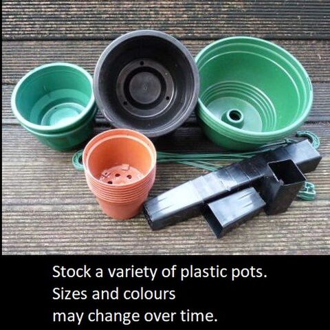 Plastic Pots | Kats Flora