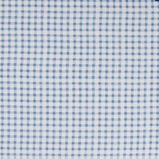 Sky Blue Gingham