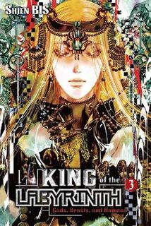 King of the Labyrinth, Vol. 3 (Light Graphic Novel)