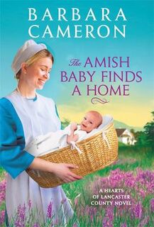 Hearts of Lancaster County #02: The Amish Baby Finds a Home