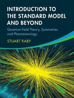 Introduction to the Standard Model and Beyond