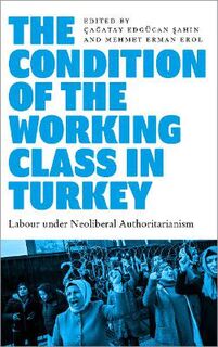 The Condition of the Working Class in Turkey