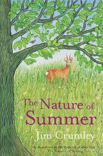 Seasons #04: The Nature of Summer