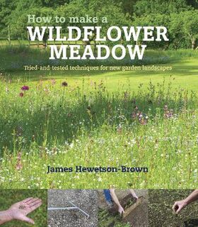 How to Make a Wildflower Meadow: Tried-and-Tested Techniques That Really Work