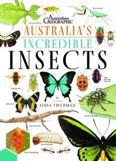 Australia's Incredible Insects