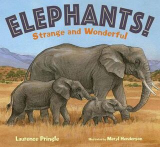 Strange and Wonderful #: Elephants!