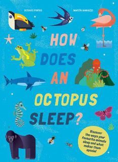 How Does An Octopus Sleep?