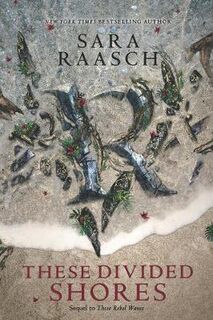 Stream Raiders #02: These Divided Shores