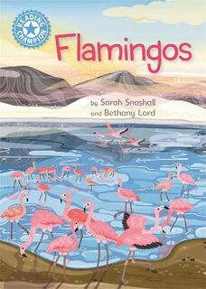 Reading Champion - Independent Reading Non-Fiction Blue 4: Flamingos