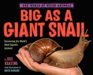 World of Weird Animals: Big as a Giant Snail