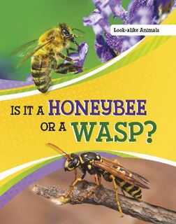 Look-Alike Animals: Is It a Honeybee or a Wasp?