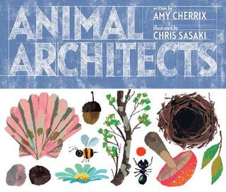 Amazing Animals: Animal Architects