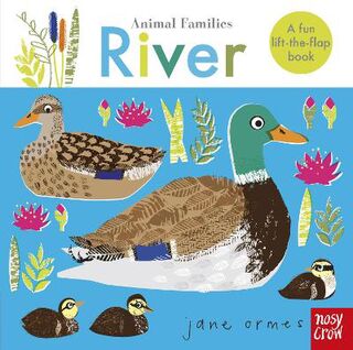 Animal Families: River (Lift-the-Flap)