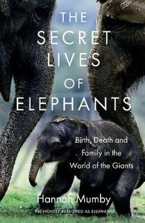 The Secret Lives of Elephants