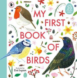 My First Book of #: My First Book of Birds