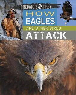 Predator vs Prey: How Eagles and other Birds Attack