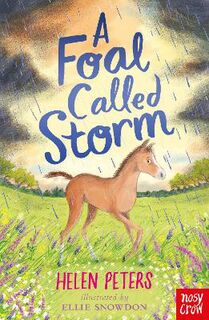 Jasmine Green #11: A Foal Called Storm