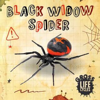 Gross Life Cycles: Black Widow Spider