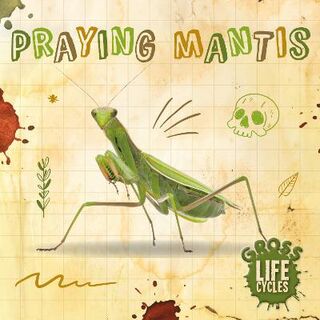 Gross Life Cycles: Praying Mantis