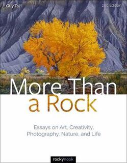 More Than a Rock  (2nd Edition)