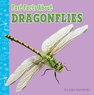 Fast Facts about Dragonflies