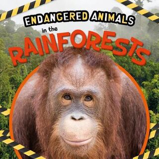 Endangered Animals: In the Rainforests